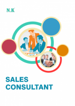 Sales Consultant (Auto Finance)